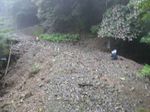 公門谷林道 094.jpg