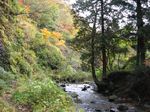 湖北 針川散策 2006.11.12 003.jpg