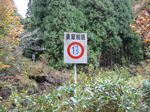 湖北 針川散策 2006.11.12 006.jpg