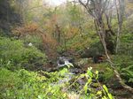 湖北 針川散策 2006.11.12 008.jpg
