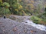 湖北 針川散策 2006.11.12 009.jpg