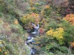針川入渓地点 2006.11.12 011.jpg