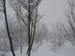 湖北武奈ガ岳2007.1. 008.jpg