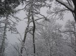 呉枯ノ峰2007.1.8 003.jpg