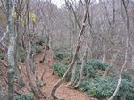 若狭 芦原山〜三国山 2006.11.26 010.jpg