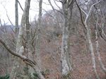 若狭 芦原山〜三国山 2006.11.26 027.jpg
