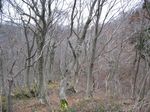 若狭 芦原山〜三国山 2006.11.26 029.jpg