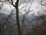 若狭 芦原山〜三国山 2006.11.26 044.jpg