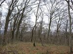 若狭 芦原山〜三国山 2006.11.26 063.jpg