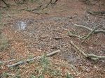 若狭 芦原山〜三国山 2006.11.26 069.jpg