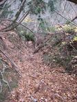 若狭 芦原山〜三国山 2006.11.26 087.jpg
