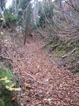 若狭 芦原山〜三国山 2006.11.26 091.jpg