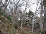 若狭 芦原山〜三国山 2006.11.26 095.jpg