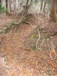 若狭 芦原山〜三国山 2006.11.26 098.jpg