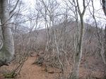 若狭 芦原山〜三国山 2006.11.26 110.jpg