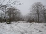 残り雪じゃ〜!