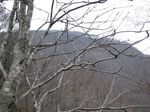 手倉山