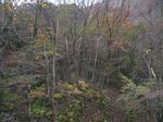 大峰 行者還岳、弥山、八経ガ岳 002.jpg