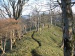 大峰 行者還岳、弥山、八経ガ岳 020.jpg
