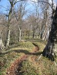大峰 行者還岳、弥山、八経ガ岳 052.jpg