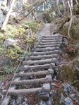 大峰 行者還岳、弥山、八経ガ岳 061.jpg
