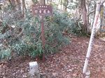 大峰 行者還岳、弥山、八経ガ岳 067.jpg