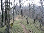 大峰 行者還岳、弥山、八経ガ岳 080.jpg