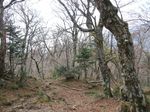 大峰 行者還岳、弥山、八経ガ岳 095.jpg