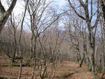 大峰 行者還岳、弥山、八経ガ岳 096.jpg