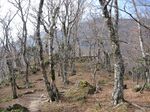 大峰 行者還岳、弥山、八経ガ岳 100.jpg