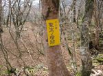 大峰 行者還岳、弥山、八経ガ岳 104.jpg