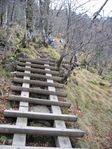 大峰 行者還岳、弥山、八経ガ岳 109.jpg