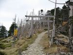大峰 行者還岳、弥山、八経ガ岳 115.jpg