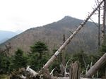 大峰 行者還岳、弥山、八経ガ岳 122.jpg