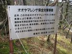 大峰 行者還岳、弥山、八経ガ岳 127.jpg