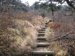 大峰 行者還岳、弥山、八経ガ岳 129.jpg
