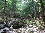 堂倉 063.jpg
