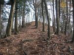 美山 ホサビ山
