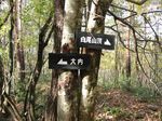 白尾山登山道jpg