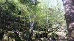 DSC_0301.JPG