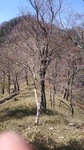 DSC_0307.JPG