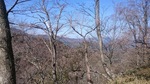 DSC_0308.JPG