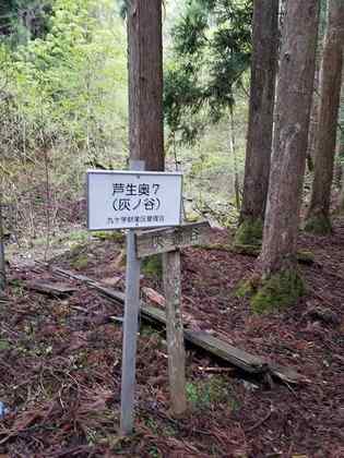 ゲロク谷201952_190504_0020.jpg