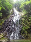 上葛川0450.jpg