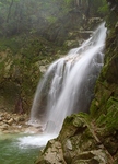 刈安谷_120701米田_76.jpg