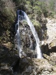 沢写真2011,04 029.jpg