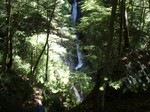沢写真2011,06 026.jpg
