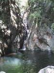 沢写真2011,06 032.jpg