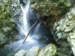 沢写真2011,06 039.jpg