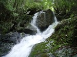 沢写真2011,06 042.jpg